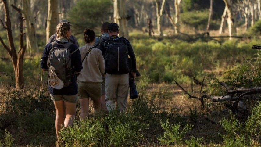 South Africa: Kruger, Cape Town & Stellenbosch Vineyards