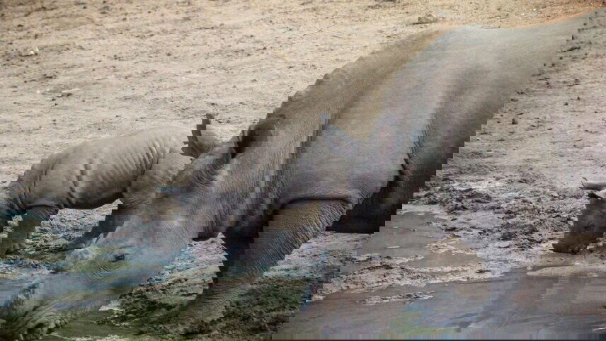 Southern Africa Overland Safari & Participation Camping