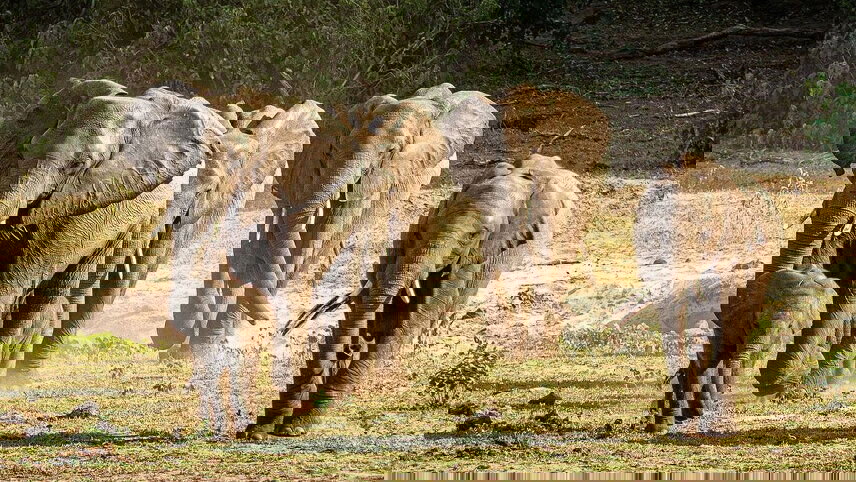 Southern Africa Overland Safari & Participation Camping