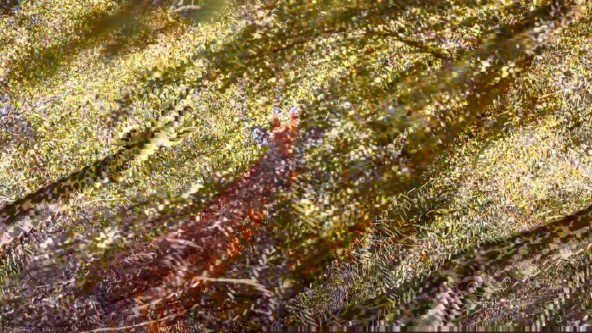 South Africa & Zimbabwe Discovery: Kruger to Victoria Falls