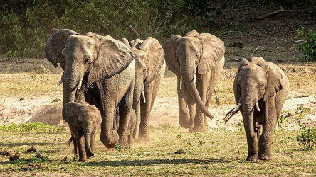 12 Day Journeys: Explore Southern Africa (G Adventures)