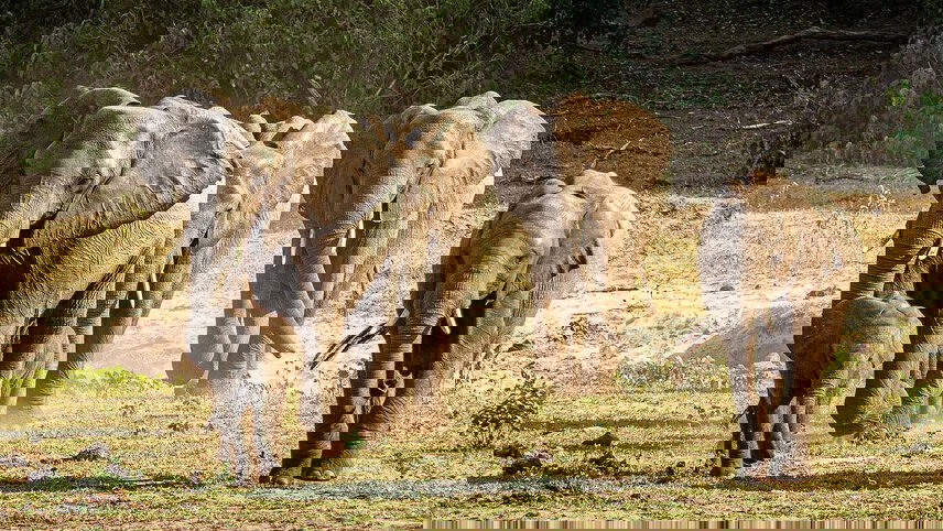 Journeys: Explore Southern Africa