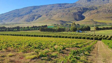 9 Day South Africa: The Garden Route (G Adventures)