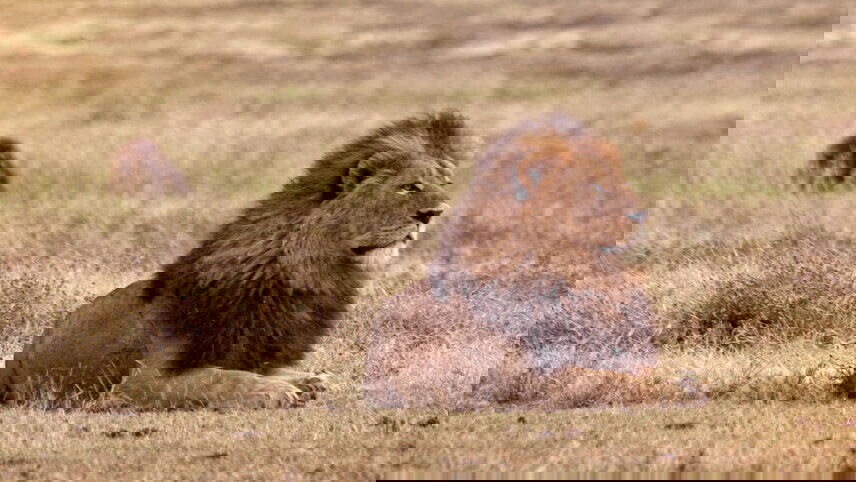 Absolute Africa Overland Safari & Participation Camping