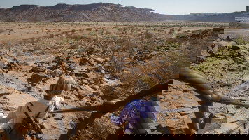 21 Day Journeys: Southern Africa Highlights (G Adventures)