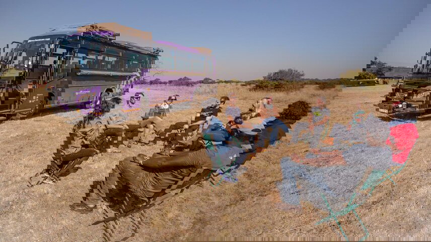 Ultimate Africa: Safari Drives & the Savannah