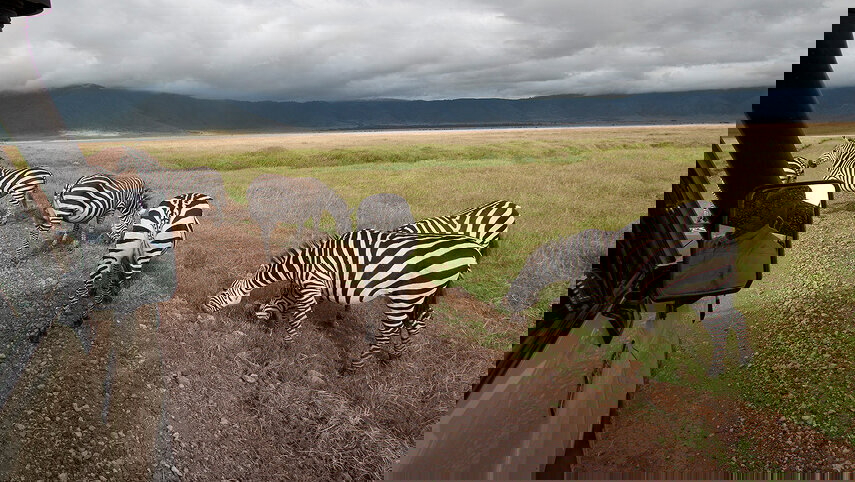 Signature: Tanzania’s Serengeti, Tarangire & Ngorongoro Crater