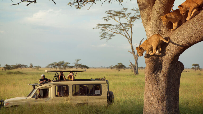 Incredible Tanzania: Serengeti to Zanzibar