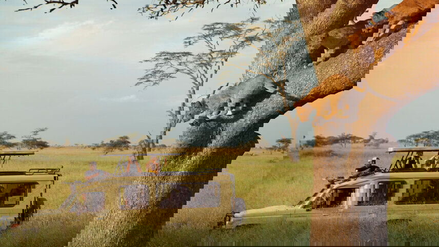 Incredible Tanzania: Serengeti to Zanzibar