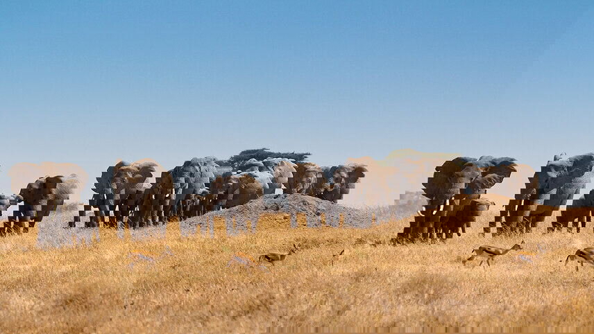 Incredible Tanzania: Serengeti to Zanzibar