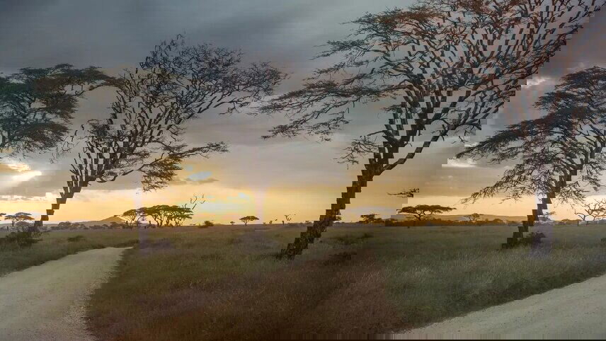 Incredible Tanzania: Serengeti to Zanzibar