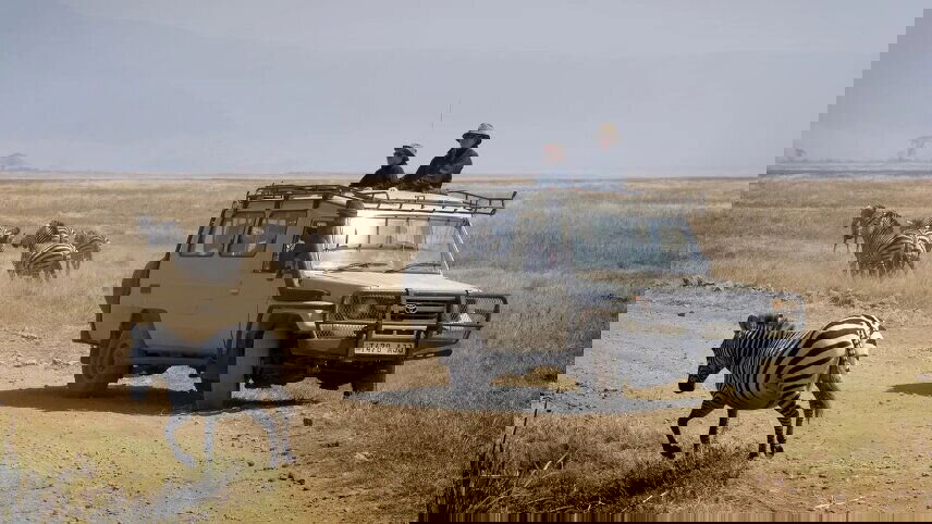 Tanzania Uncovered: Wildlife of the Serengeti & Ngorongoro Crater