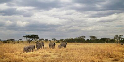 6 Day Tanzania Camping Adventure (G Adventures)