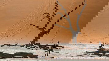 18 Day Dunes, Deltas & Falls Discoverer (G Adventures)