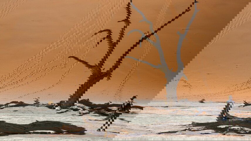 Dunes, Deltas & Falls Discoverer