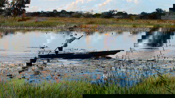 11 Day Zimbabwe & Chobe Safari: From Victoria Falls to the Okavango (G Adventures)