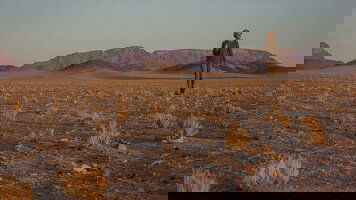 21 Day Victoria Falls to Cape Town Overland Safari & Participation Camping (G Adventures)