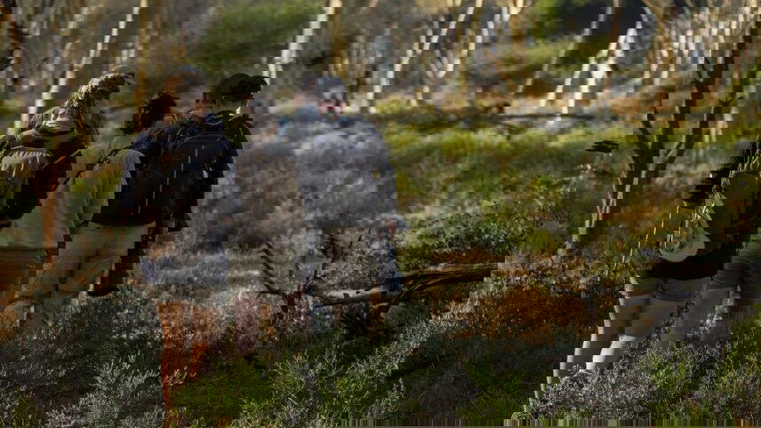 Southern Africa: National Parks of Zimbabwe & Kruger Wildlife Tracking