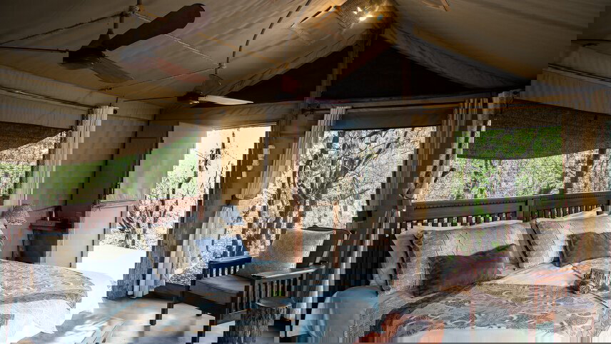 Southern Africa: National Parks of Zimbabwe & Kruger Wildlife Tracking