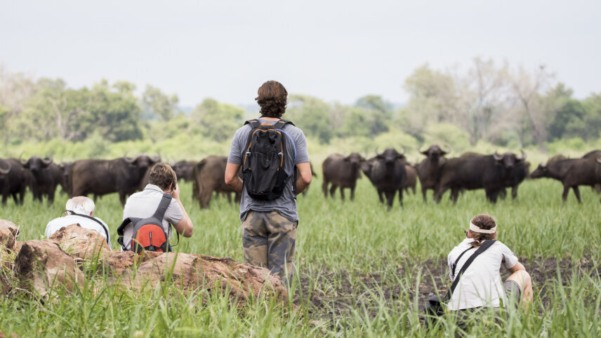 Southern Africa: Kruger, Victoria Falls & Zimbabwe National Parks