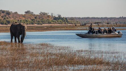 10 Day Zimbabwe & Botswana: Chobe, Hwange & Lake Kariba (G Adventures)