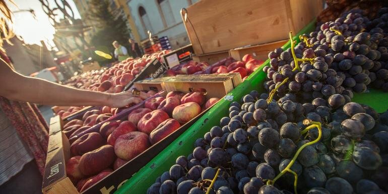 Burgundy River Cruise Adventure