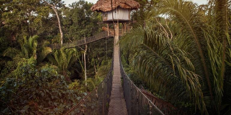 Inland & Amazon
