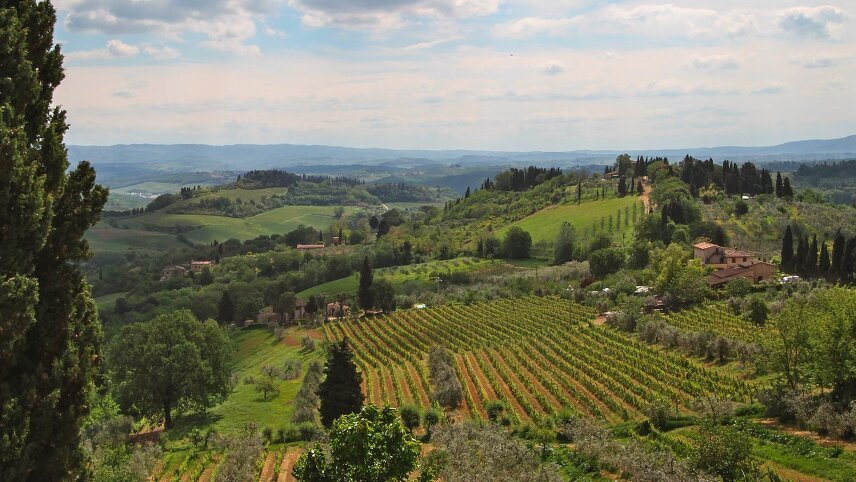 Italy: Tuscany and Umbria Vineyard Walks