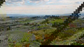 8 Day Italy: Tuscany and Umbria Vineyard Walks (G Adventures)