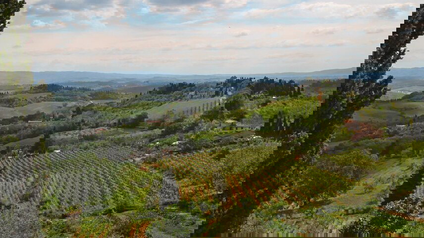 Italy: Tuscany and Umbria Vineyard Walks