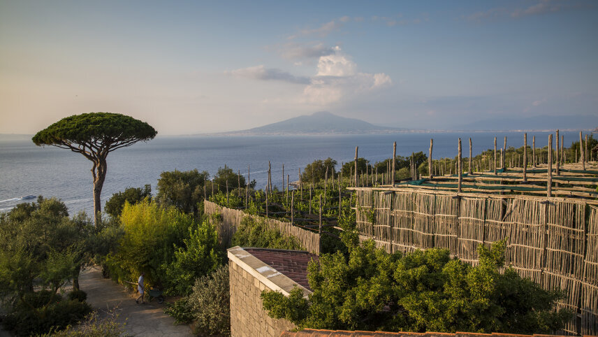 Sailing the Amalfi Coast: Capri, Positano & Coastal Bliss