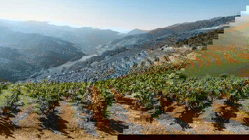 8 Day Signature: Portugal's Porto, Douro Valley, & Lisbon (G Adventures)