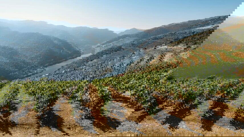 Signature: Portugal's Porto, Douro Valley, & Lisbon