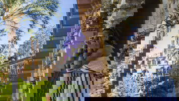 9 Day Solo-ish Spain (G Adventures)