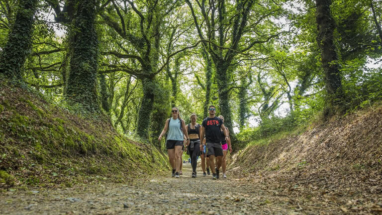 Camino de Santiago Encompassed