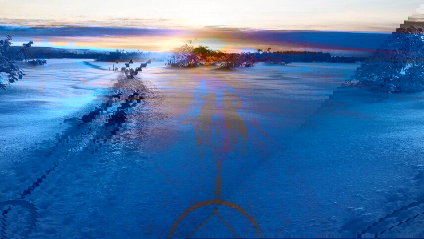 Winter in Finland: Lapland & Northern Lights