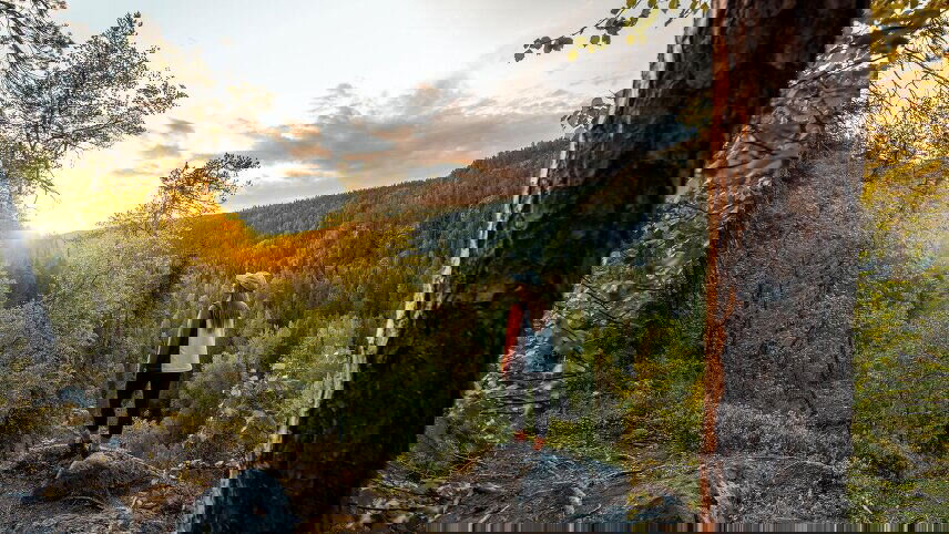 Finnish Lapland Discovery