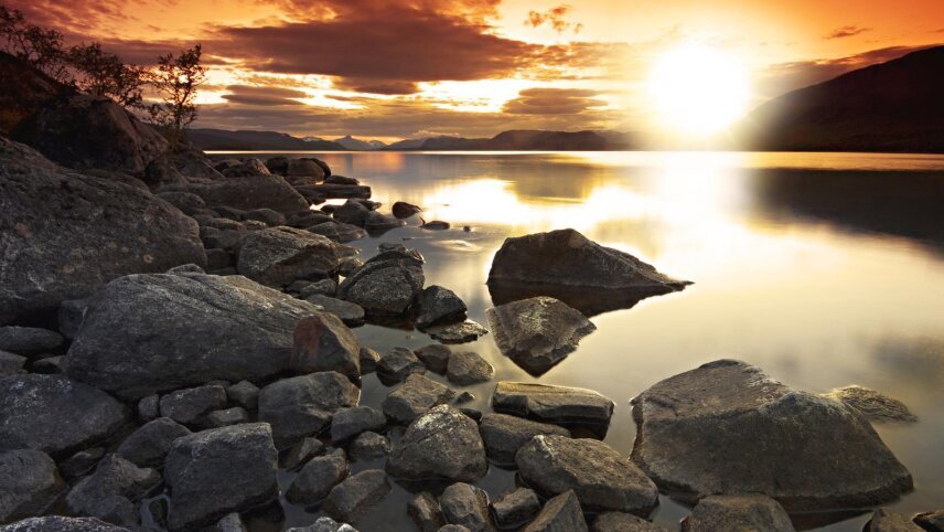 Summer in Lapland: A Family Adventure