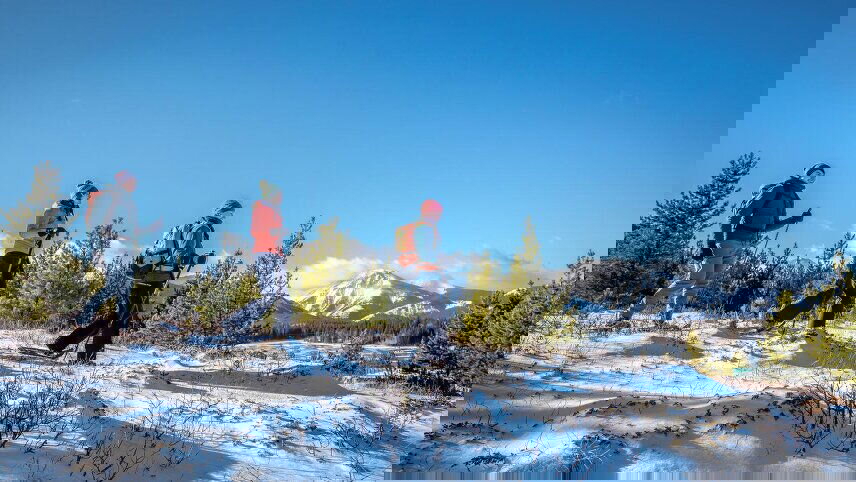 Canadian Rockies Winter Adventure