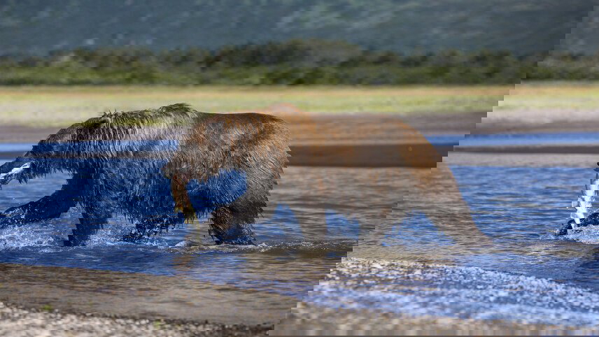 Journeys: Discover Alaska