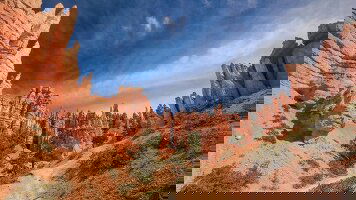 15 Day USA Road Trip: Big Cities & West Coast Parks (G Adventures)