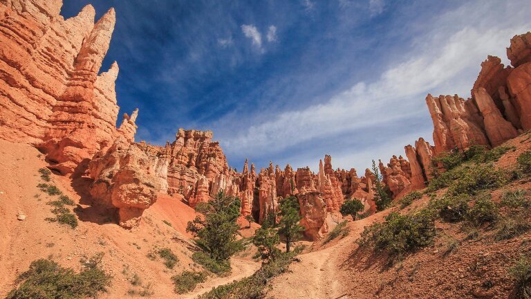 USA Road Trip: Big Cities & West Coast Parks