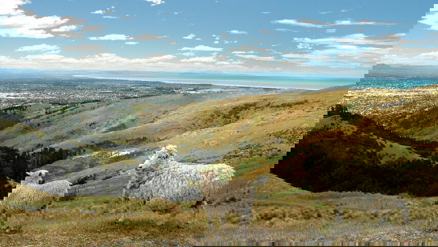 Best of the South Pacific: Ultimate Australia & New Zealand