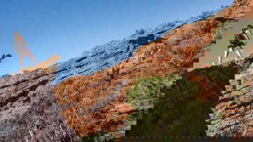 10 Day Iconic Australia: Famous Cities & Red Centre Explorer (G Adventures)