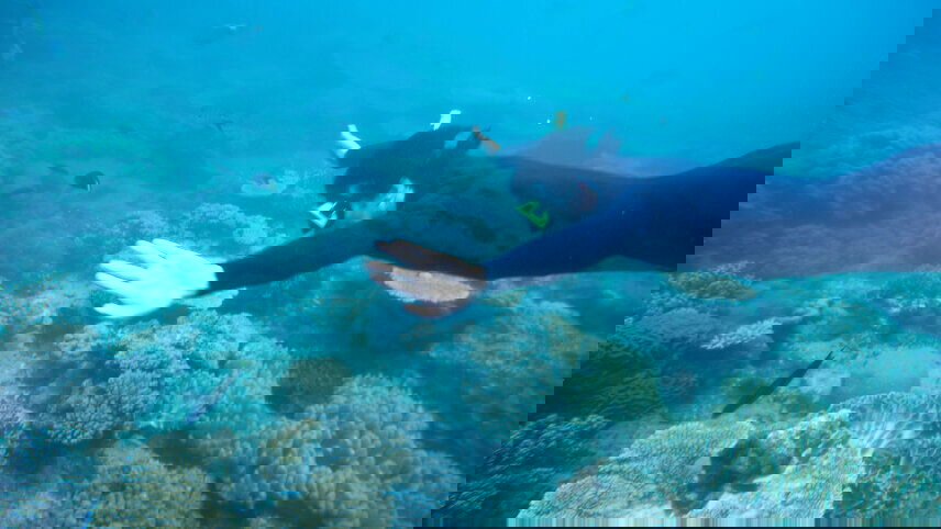 Australia to New Zealand: The Best of the South Pacific