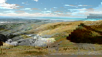 29 Day Australia and New Zealand: Surf, Sun & Epic Parks (G Adventures)