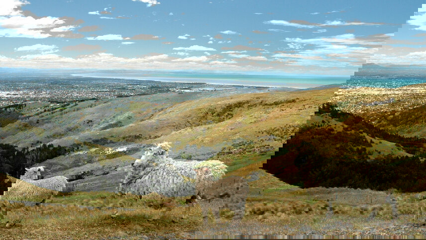 Australia and New Zealand: Surf, Sun & Epic Parks