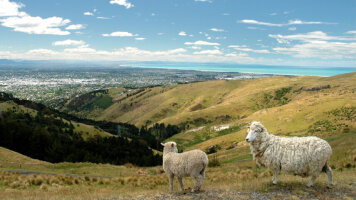 13 Day Signature: New Zealand, Milford Sound & Maori Culture (G Adventures)