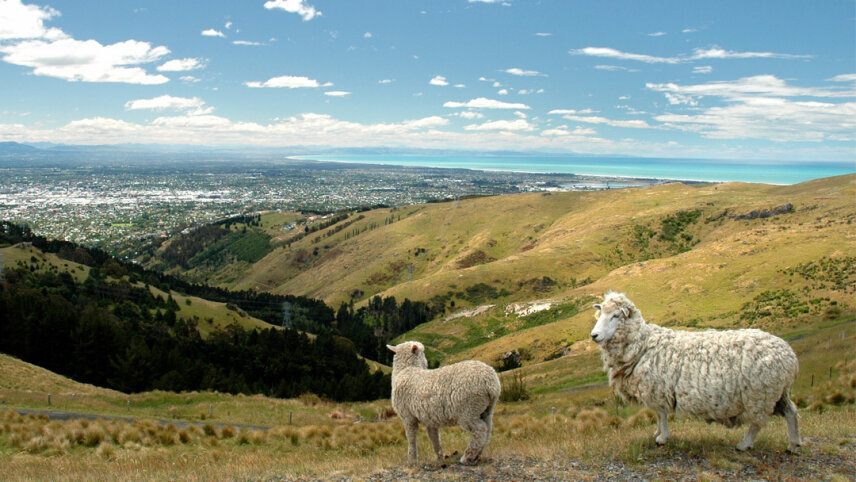 Signature: New Zealand, Milford Sound & Maori Culture