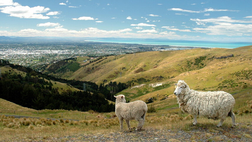 Journeys: Discover New Zealand